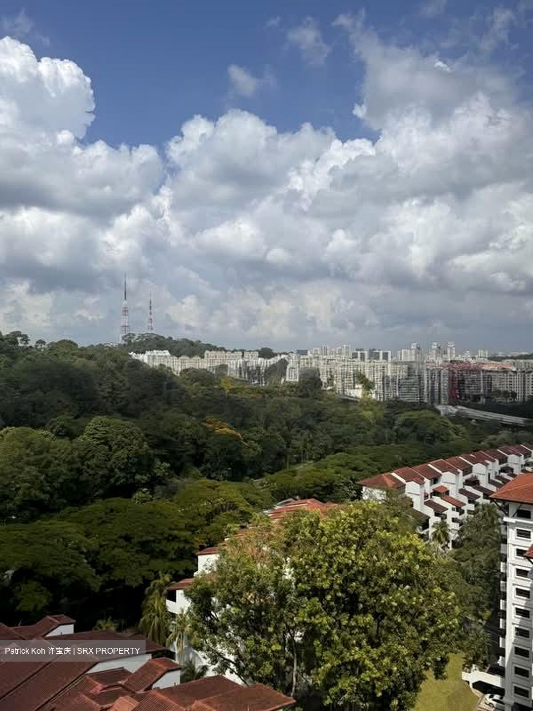The Skywoods (D23), Condominium #580240871